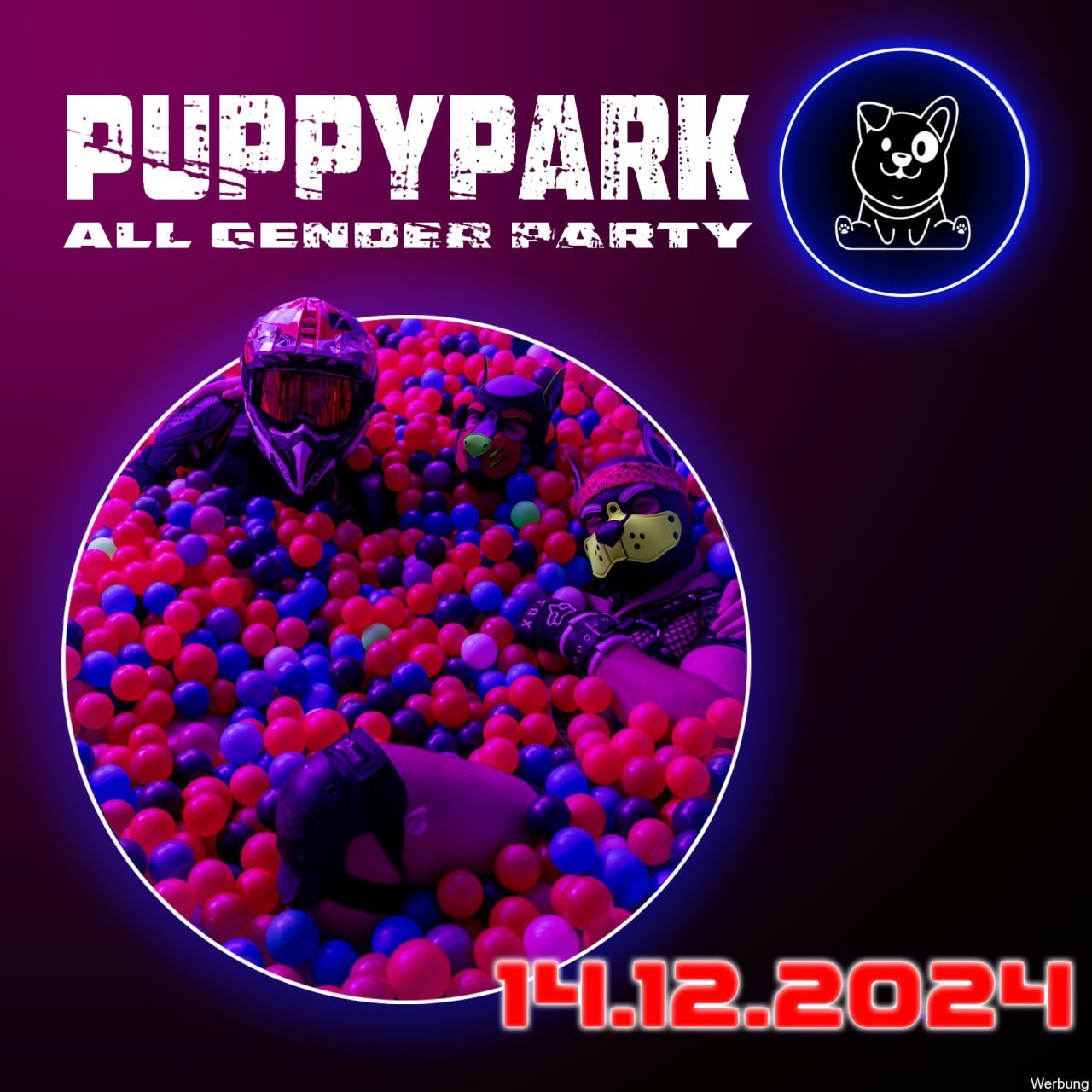 puppypark_14122024.jpg